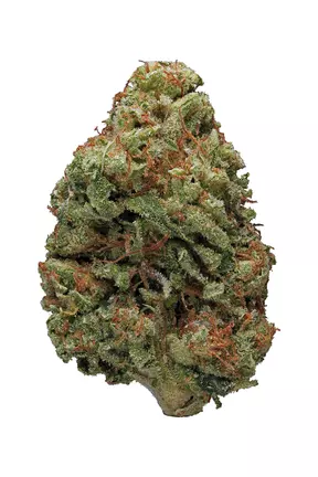 Bruce Banner