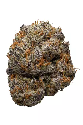 Conspiracy Kush
