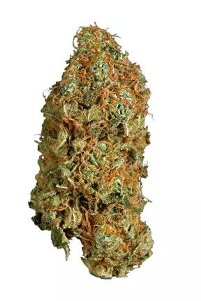 Super Jack Herer