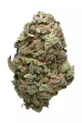 Trainwreck