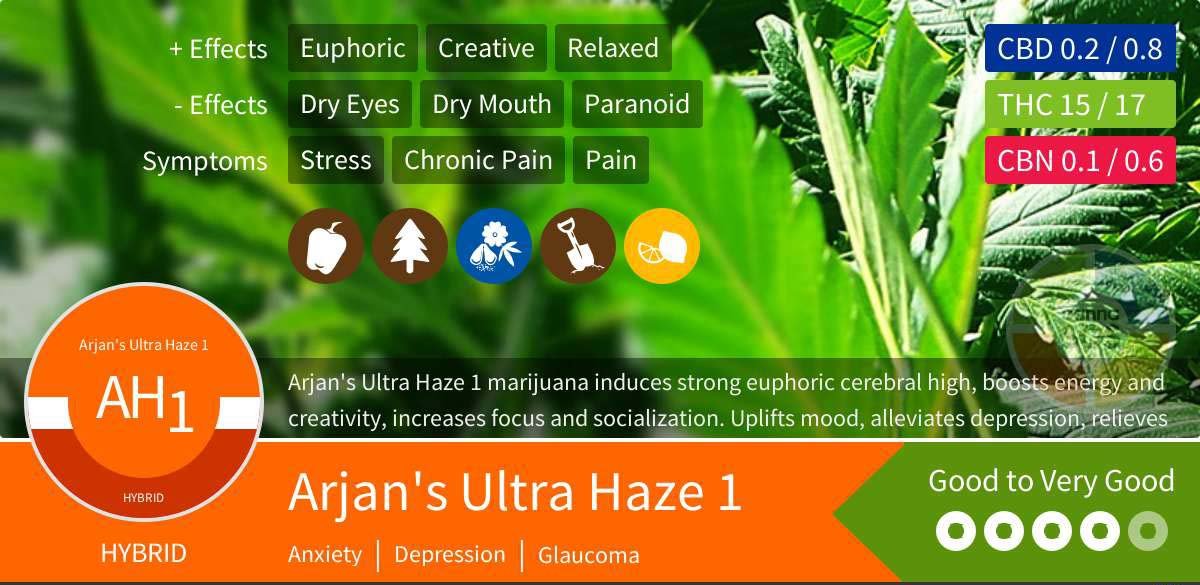 Arjan Ultra Haze