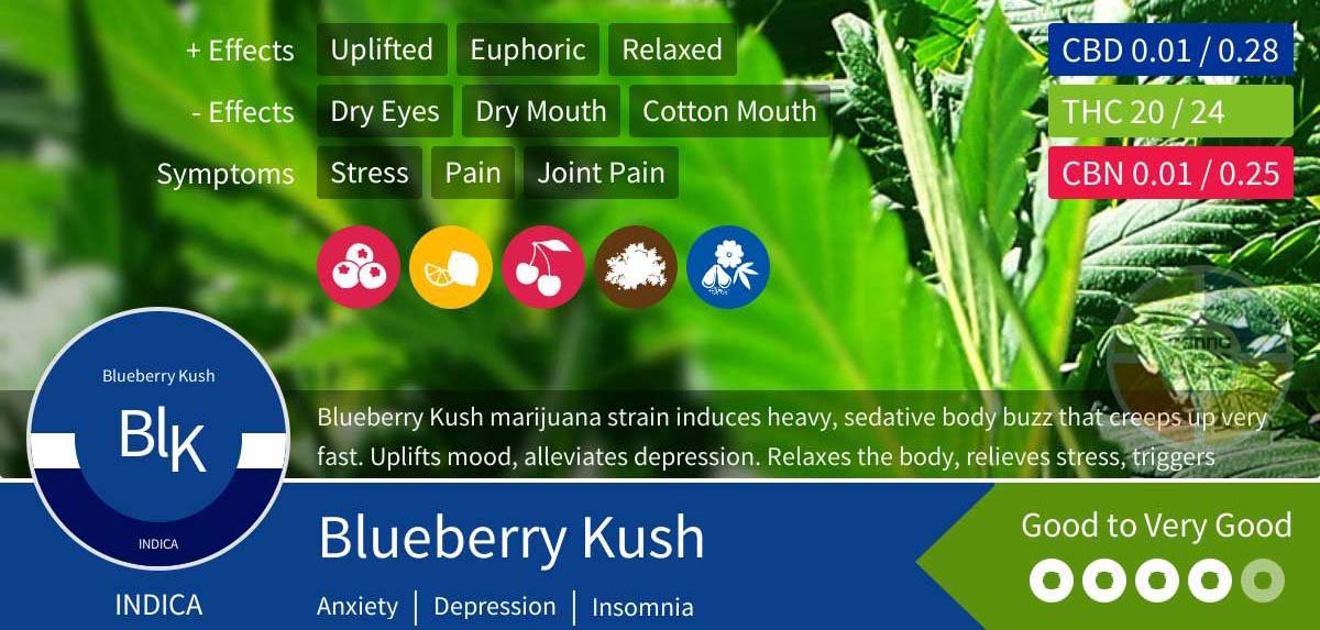 Blueberry Kush