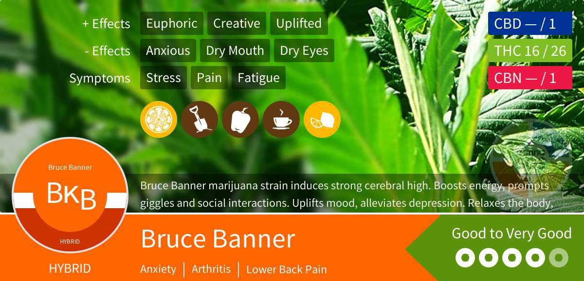 Bruce Banner