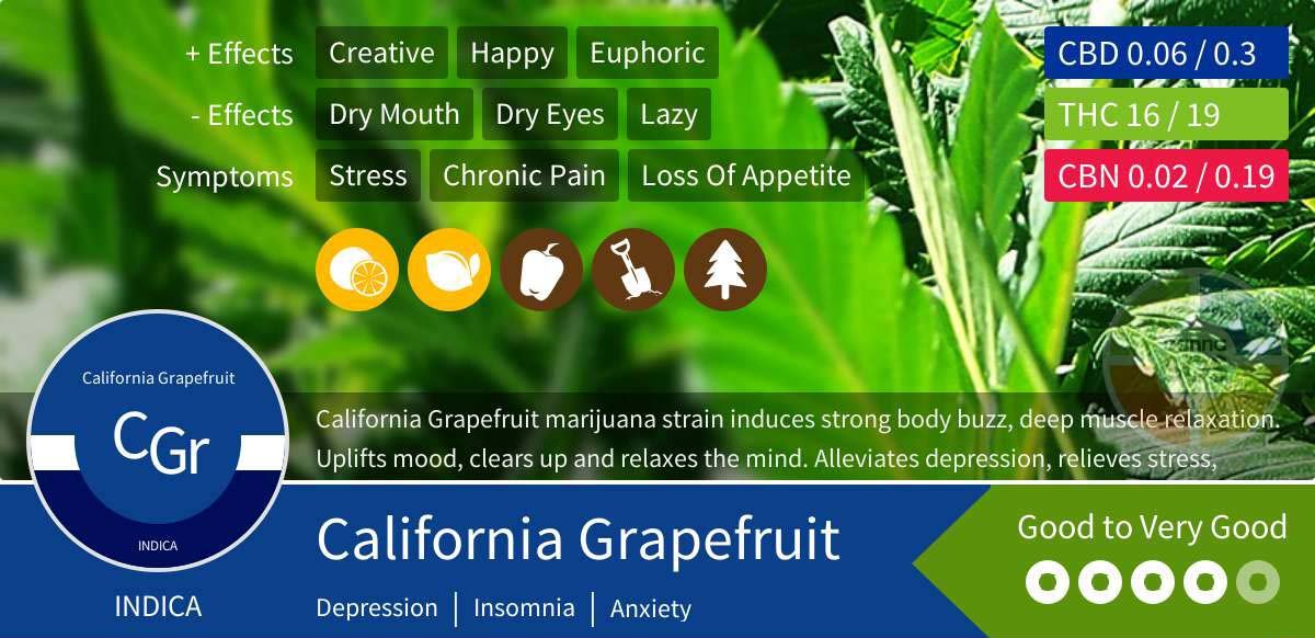 California Grapefruit