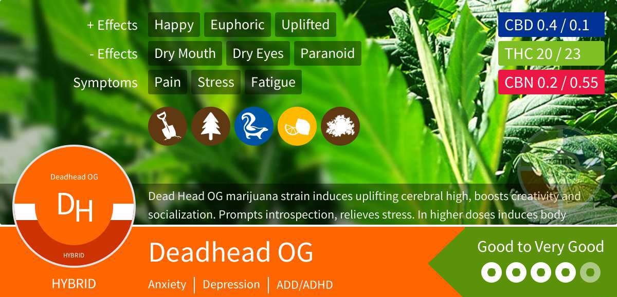 Deadhead OG