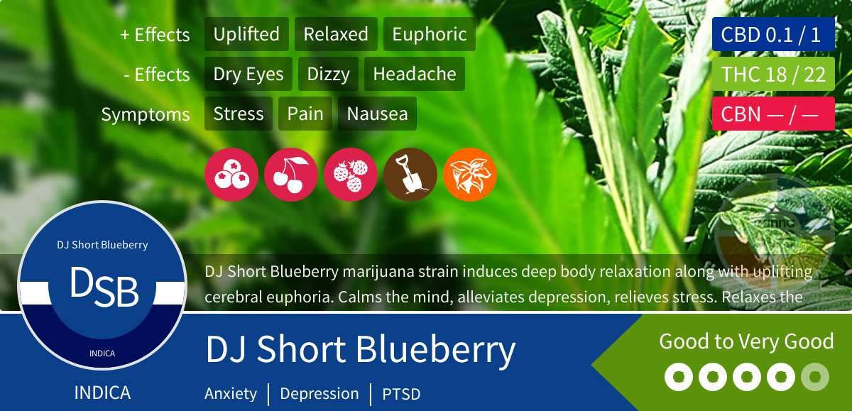 DJ Short Blueberry