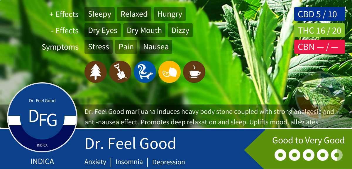 Dr Feel Good