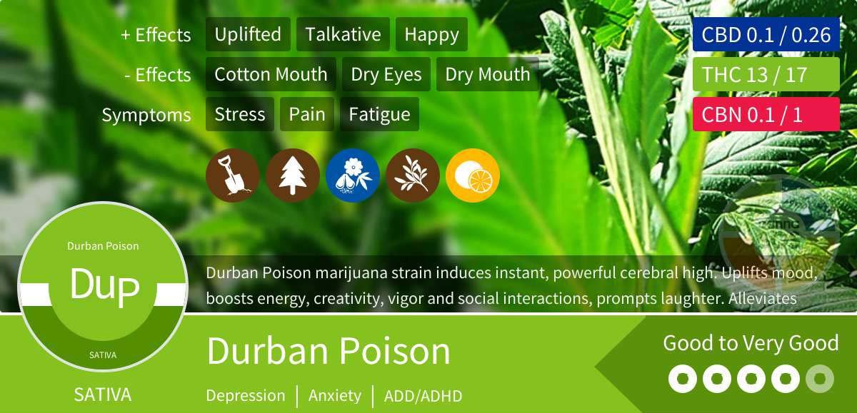 Durban Poison