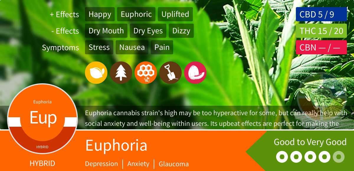 Euphoria