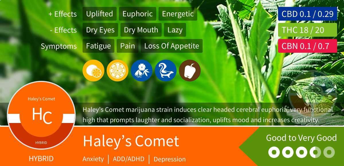 Haleys Comet