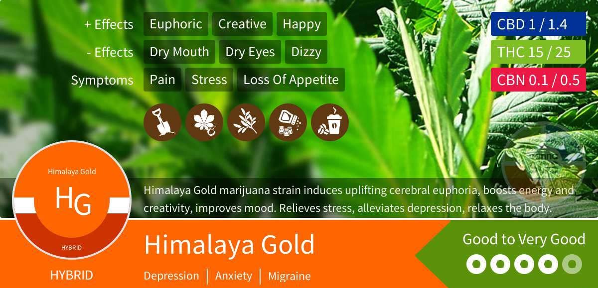 Himalaya Gold