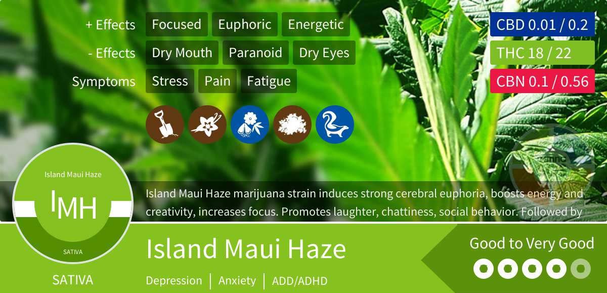 Island Maui Haze