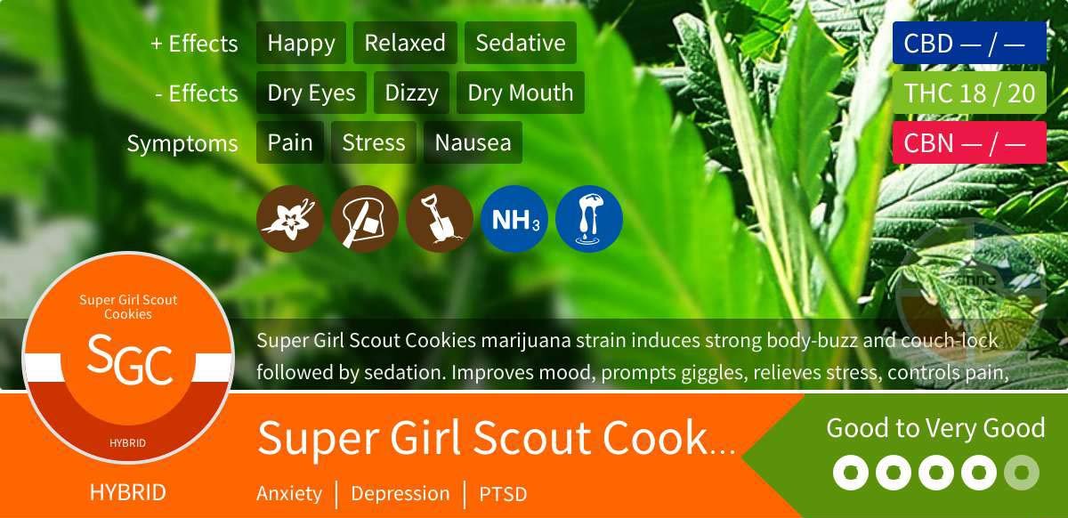 Super Girl Scout Cookies