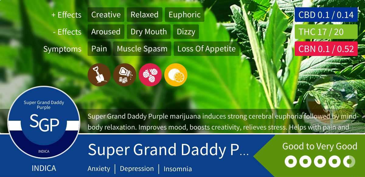 Super Grand Daddy Purple