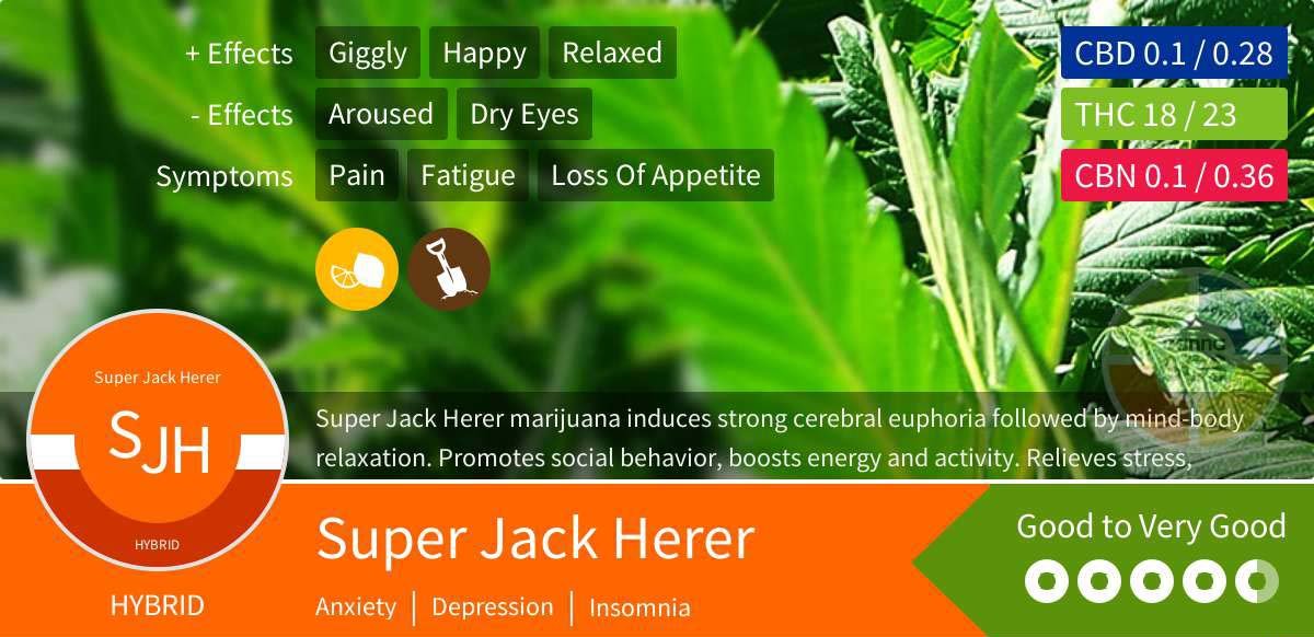 Super Jack Herer