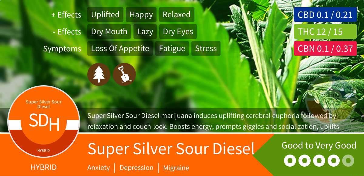 Super Silver Sour Diesel