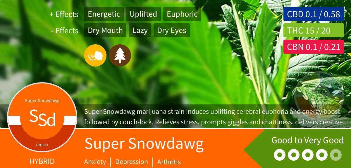 Super Snowdawg