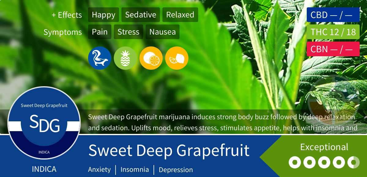 Sweet Deep Grapefruit